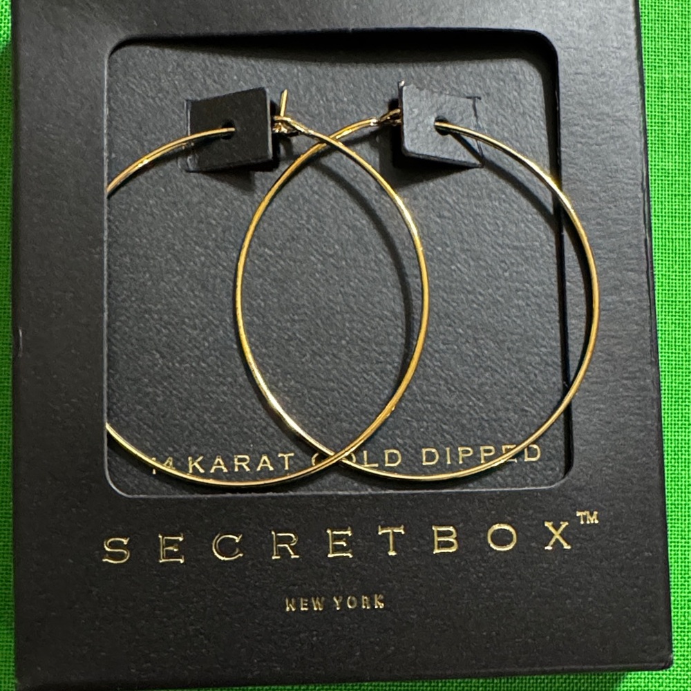 14k Gold Dipped Hoop Earrings